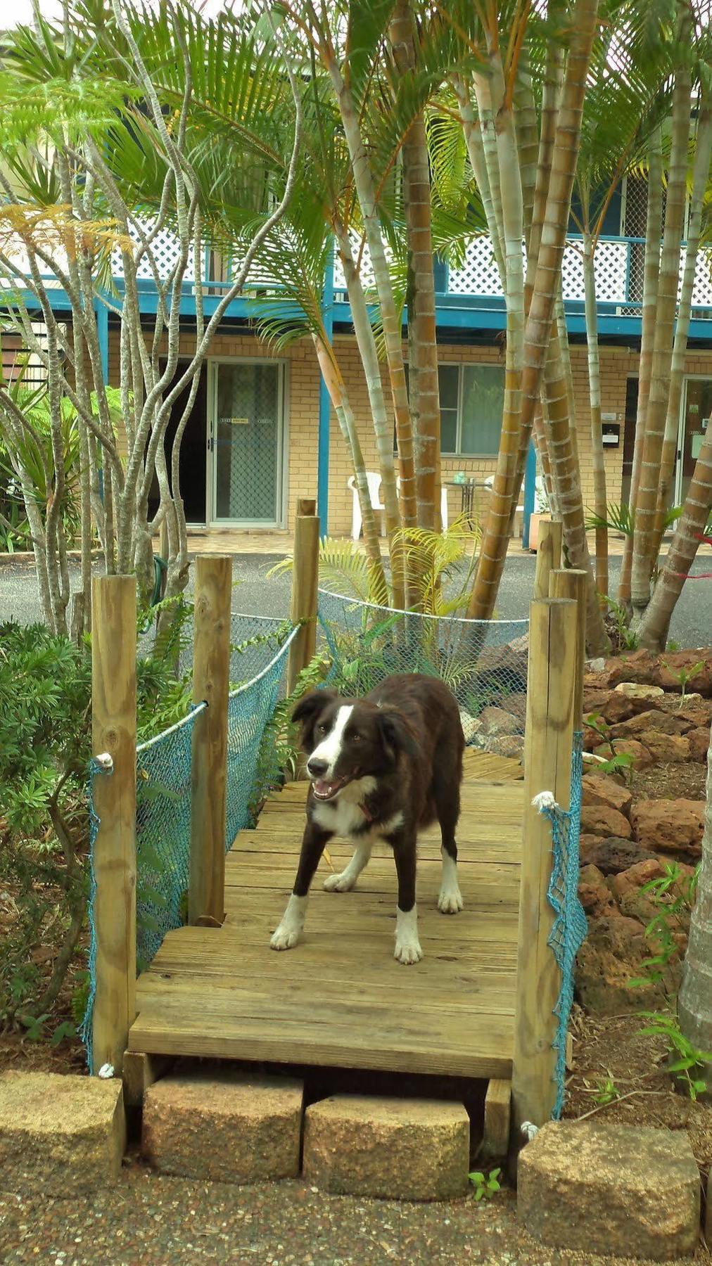 Tin Can Bay Motel מראה חיצוני תמונה